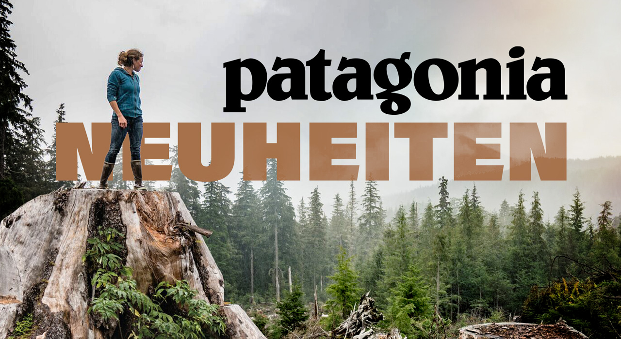 Patagonia Outdoorbekleidung: Person in funktionaler Kleidung auf einem Baumstumpf inmitten eines naturbelassenen Nadelwaldes.