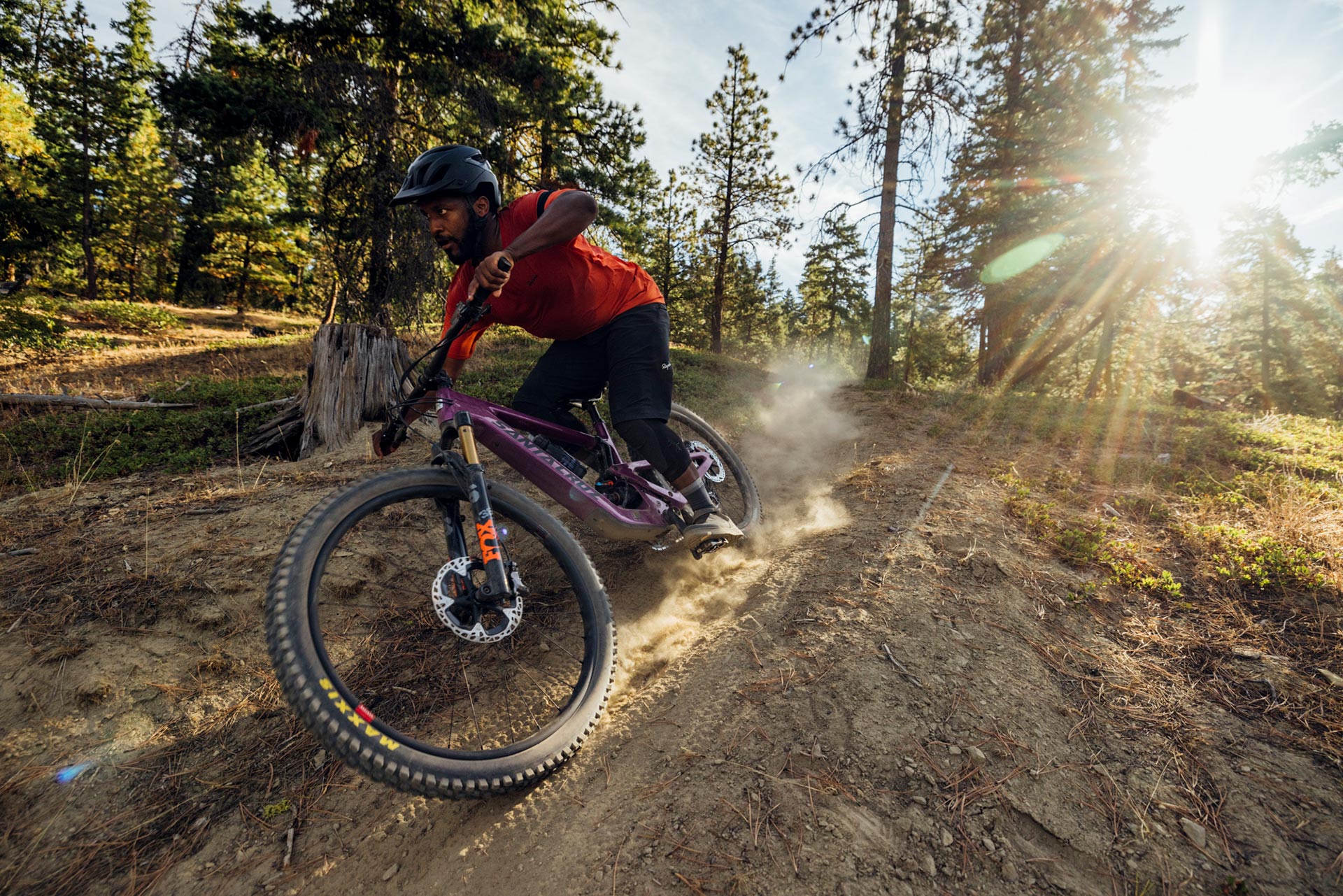 Santa Cruz Heckler SL