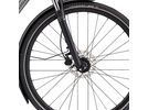 Specialized Crosstrail Elite Step-Through EQ - Black Top Collection, brushed | Bild 4