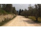Tacx Real Life Video - Monte Paschi Eroica (Italien) | Bild 3