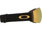Oakley Flight Deck Pro L 50th Anniversary, Prizm Snow 24K Iridium & Iced | Bild 11