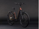 Cube Kathmandu Hybrid Pro 800 Easy Entry, sunglow´n´chrome | Bild 2
