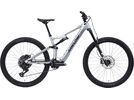 Amflow PL Carbon SRAM Eagle 70 - 800 Wh, satin silver | Bild 1