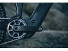 Cube Stereo Hybrid One77 HPC AT 800, carbon´n´gold | Bild 7
