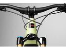 Santa Cruz Heckler C / X01 / 29, gloss avocado green | Bild 4