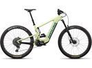 Santa Cruz Heckler C / X01 / 29, gloss avocado green | Bild 1