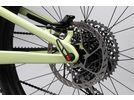 Santa Cruz Heckler C / X01 / 29, gloss avocado green | Bild 7