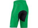 Gore Bike Wear Alp-X 3.0 Gore-Tex Active Shorts, fresh green | Bild 2