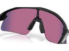 Oakley Stunt Devil S, Prizm Road / matte black | Bild 5