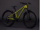 Cube Acid 240 Disc FE, lizard´n´blue | Bild 2
