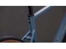 Cube Nuroad Pro 700C, whale´n´reflex | Bild 4