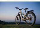 Amflow Amflow TL Carbon, silica-beige | Bild 9