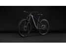 Cube Reaction Hybrid Pro 800 29, silverdust´n´prism | Bild 9