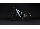 Cube Reaction Hybrid SLX 800 FE 29, platinum´n´reflex | Bild 9