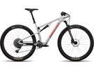 Santa Cruz Blur C / S / 29, matte silver | Bild 1