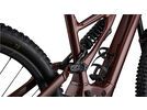 ***2. Wahl*** Specialized Turbo Kenevo Expert rusted red/redwood | Bild 9