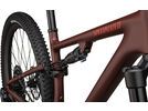 Specialized Epic Evo Expert, rusted red/blaze/pearl | Bild 5