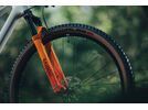 Cube Phenix C:62 Rookie SLX 29, teamline | Bild 10