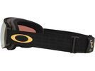 Oakley Flight Deck Pro M 50th Anniversary, Prizm Snow 24K Iridium & Iced | Bild 6
