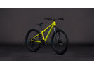 Cube Acid 240 Disc, lizard´n´blue | Bild 7