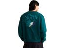 The North Face M Retro Trail Relaxed Crew Graphic, pacific teal | Bild 4