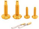 OAK Components RLP Schrauben Set (4 Stck.), gold | Bild 1