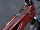 Specialized Turbo Levo Pro Carbon, gloss rusted red/satin redwood | Bild 18