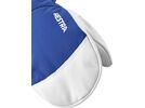 Hestra Army Leather Heli Ski Mitt, royal blue | Bild 2