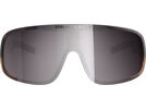 POC Aspire, Clarity Road/Sunny Silver / tortoise brown | Bild 2