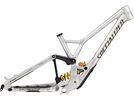 Specialized Demo Race Frame, flake silver/gunmetal/brushed | Bild 1