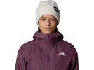 The North Face Salty Lined Beanie, white dune | Bild 3