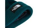 The North Face Salty Lined Beanie, pacific teal | Bild 2