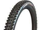 Maxxis Assegai 3C MaxxTerra EXO WT TR - 29 Zoll | Bild 1