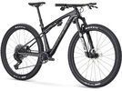 Trek Supercaliber SLR 9.8 X0 Flight Attendant Gen 2, carbon smoke/galactic grey marble | Bild 2