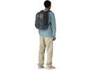 Patagonia Refugio Day Pack 30L, smolder blue | Bild 8