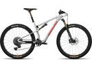 Santa Cruz Blur CC / X01 AXS TR / RSV / 29, matte silver | Bild 1