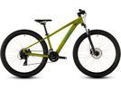 Cube Acid 260 Disc, lizard´n´blue | Bild 1