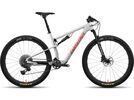 Santa Cruz Blur CC / X01 AXS / RSV / 29, matte silver | Bild 1