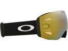 Oakley Flight Deck Pro L, Prizm Sage Gold Iridium & Iced / matte black | Bild 12