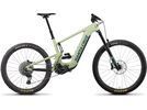 Santa Cruz Heckler CC / X01 / MX, gloss avocado green | Bild 1