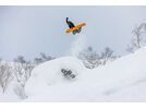 Bataleon Party Wave | Bild 8