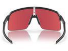 Oakley Sutro Lite, Prizm Snow Sapphire / matte carbon | Bild 7