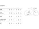 Cube Reaction C:62 SLX, teamline | Bild 9