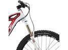 GT Force Carbon Expert, raw/white/red | Bild 5