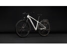 Cube Aim One FE 29, metallicwhite´n´black | Bild 8
