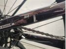 ***2. Wahl*** Specialized Turbo Tero X 5.0 - 29/27.5 red onyx/smoke | Bild 3
