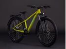 Cube Acid 260 Disc FE, lizard´n´blue | Bild 2