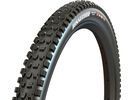 Maxxis Dissector [Gen.2] 3C MaxxTerra EXO+ WT TR - 29 Zoll | Bild 1