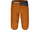 Ortovox Merino Shield Tec Pala Shorts M, bristle brown | Bild 1