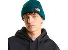 The North Face Salty Lined Beanie, pacific teal | Bild 3